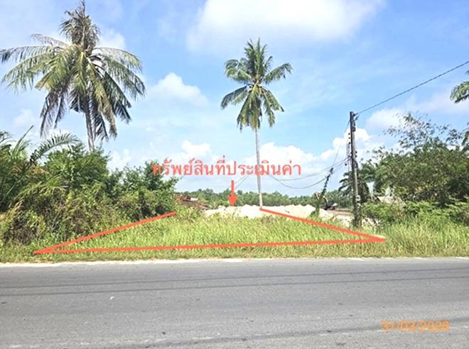 picture LAND 49.2 Sq.w. Cha-uat Nakhon Sri Thammarat for 345,000 - 4/15