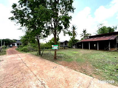 Houses for sale : HOME 299 Sq.w. Pla Pak Nakhon Phanom for 395,000