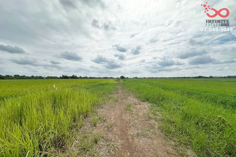 รูป ขายที่ดิน 200 ตร.ว. คลองสี่ คลองหลวง ปทุมธานี แปลงสวย ราคาดี - รูปที่ 4/9
