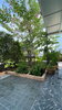 listing thumbnail image 11