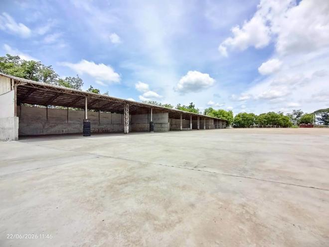 รูป โกดัง 18513.4 ตร.วา วิเชียรบุรี เพชรบูรณ์ 99.5M - รูปที่ 4/53
