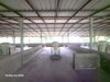 listing thumbnail image 29