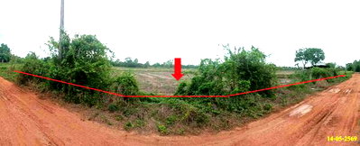 Land for sale : LAND 2322 Sq.w. Kamalasai Kalasin for 2.6M