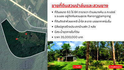 Land for sale Kapoe Ranong : Large Land Plot for Sale with Palm & Rubber Plantations – Surrounded by a Natural Creek in Kapoe, Ranong