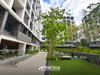 listing thumbnail image 22