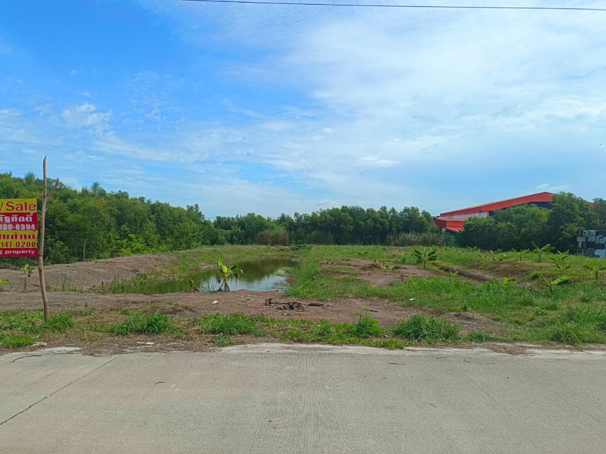 รูป ขาย ที่ดินเปล่า  ที่ ซอยเอราวัณ 20, ใกล้ตลาดไท - รูปที่ 6/18