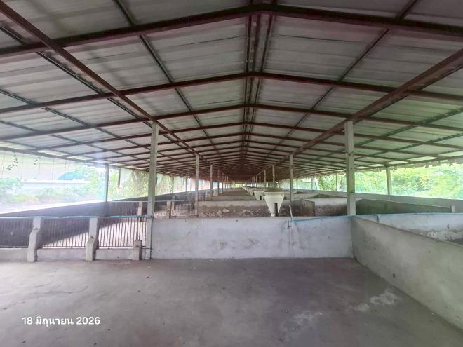 รูป ฟาร์ม 1958 ตร.วา เมืองนครสวรรค์ นครสวรรค์ 4M - รูปที่ 9/51
