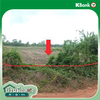 listing thumbnail image 10