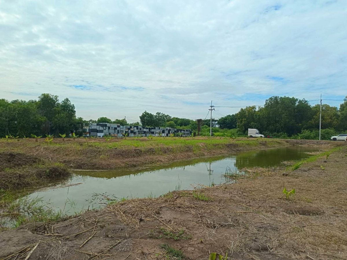 รูป ขาย ที่ดินเปล่า  ที่ ซอยเอราวัณ 20, ใกล้ตลาดไท - รูปที่ 13/18