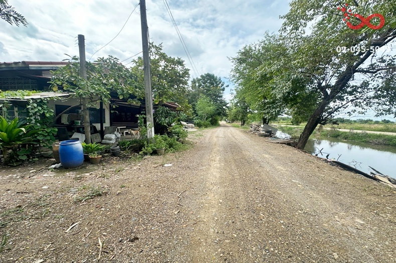 รูป ขายที่ดิน 200 ตร.ว. คลองสี่ คลองหลวง ปทุมธานี แปลงสวย ราคาดี - รูปที่ 1/9