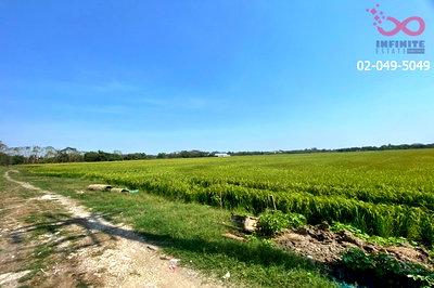ที่ดิน เขตคลองสามวา : ขายที่ดิน 29 ไร่ 65 ตร.ว. ถนนนิมิตรใหม่ - ประชาร่วมใจ ซอยวัดสุขใจ 14 คลองสามวา ติดถนน 2 ด้าน