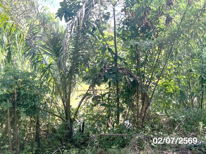 picture FACTORY 6641 Sq.w. Muang Amnat Charoen Amnat Charoen for 10.5M - 23/49