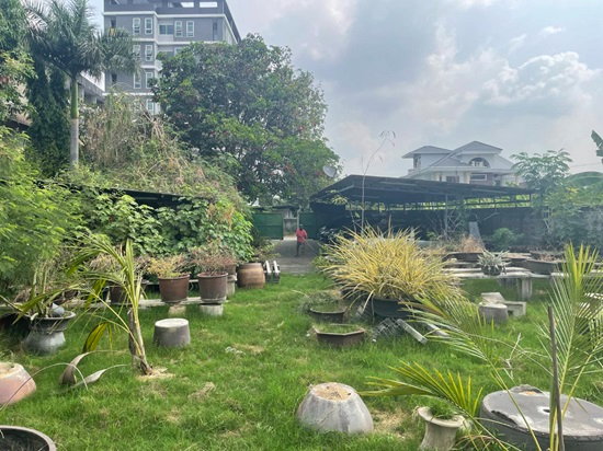 รูป ขายที่ดินสุขุมวิท 77 แปลงใหญ่ 191 ตร.ว อ่อนนุช 14 ใกล้ BTS อ่อนนุช ถนนหน้าที่กว้าง สภาพแวดล้อมดี เงียบสงบ ปากซอยมีแม็คโคร ปรีดี พัฒนาการ 0879074045 - รูปที่ 1/3