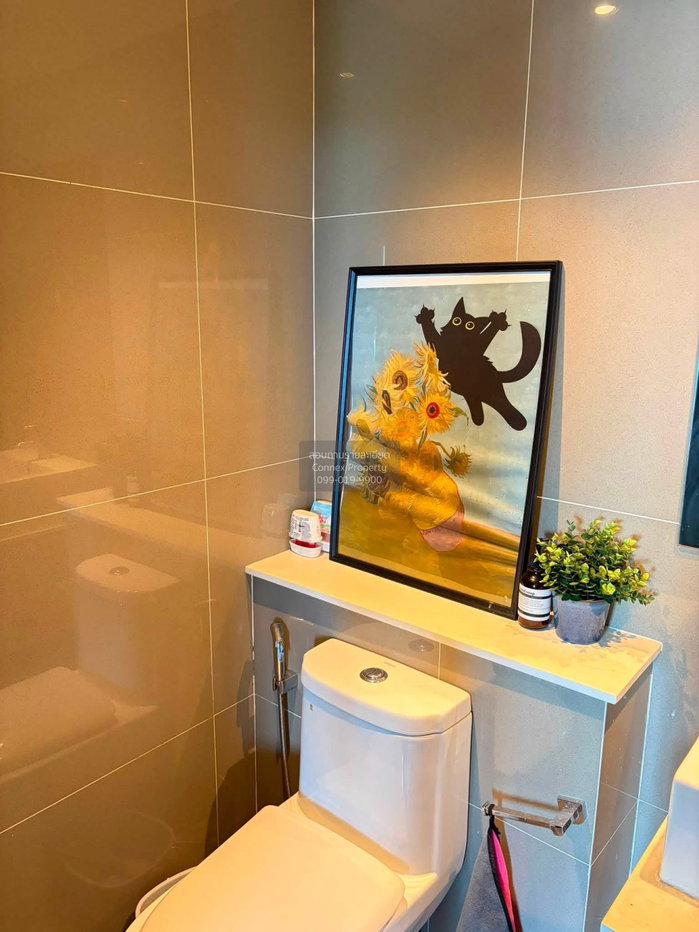 picture For Rent Condo , Centrio Condominium , high floor , Wichit , Mueang Phuket , Phuket , CX-169178 ✅ Live chat with us ADD LINE @connexproperty ✅ - 10/10