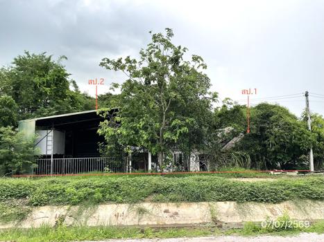 รูป บ้านเดี่ยว 101 ตร.วา อัมพวา สมุทรสงคราม 1.6M - รูปที่ 18/21