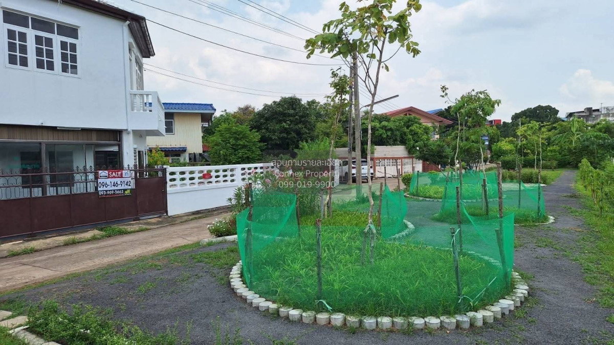 รูป ขายบ้าน  หมู่บ้านไทยเทยิ่น ห้องมุม BTS-แยก คปอ. สนามบิน เขต ดอนเมือง กรุงเทพ CX-170014 ✅ ทักไลน์ @connexproperty ตอบทันที ทีมงานมืออาชีพ ✅ - รูปที่ 5/12