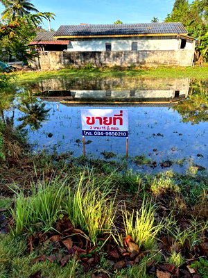 ที่ดิน วิทยาลัยนาฏศิลปพัทลุง : ด่วน ขายที่ดินเปล่า บ้านพี จ.พัทลุง (ต่อรองได้) 