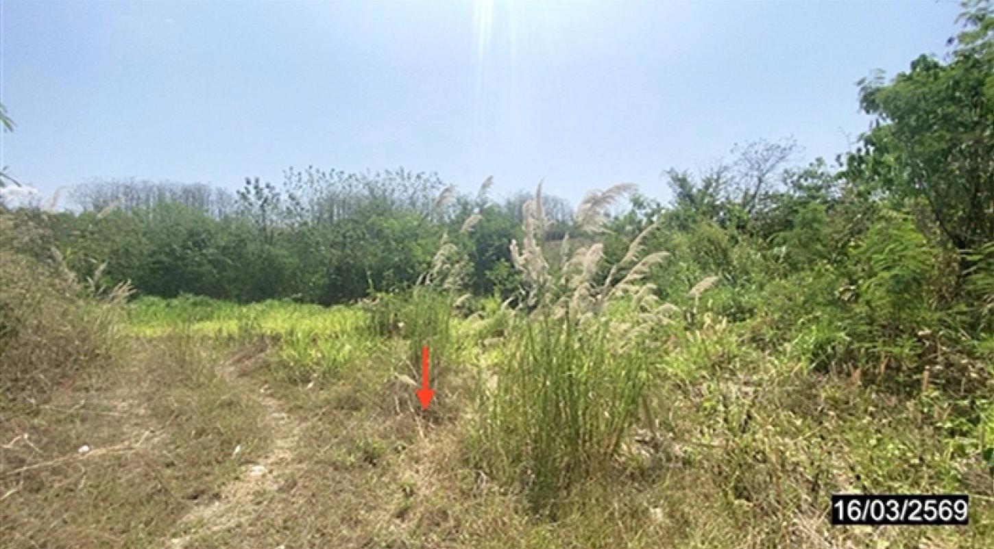 รูป ที่ดินว่างเปล่า 1600 ตร.วา -- ท่าลี่ เลย 3.6M - รูปที่ 9/13