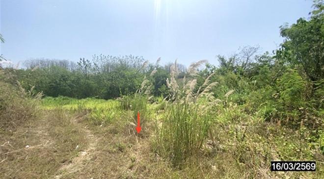 รูป ที่ดินว่างเปล่า 1600 ตร.วา -- ท่าลี่ เลย 3.6M - รูปที่ 5/13