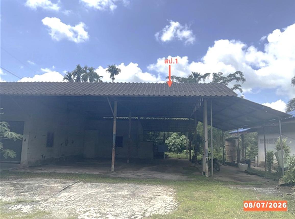 รูป บ้านเดี่ยว 293.6 ตร.วา ฉวาง นครศรีธรรมราช 2.6M - รูปที่ 21/31