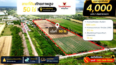 Land for sale Sai Noi Nonthaburi : Land for Sale at a Special Price Ideal for factories, warehouses, agriculture, or investment/speculation.