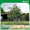 listing thumbnail image 18