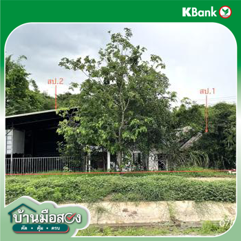 รูป บ้านเดี่ยว 101 ตร.วา อัมพวา สมุทรสงคราม 1.6M - รูปที่ 19/21