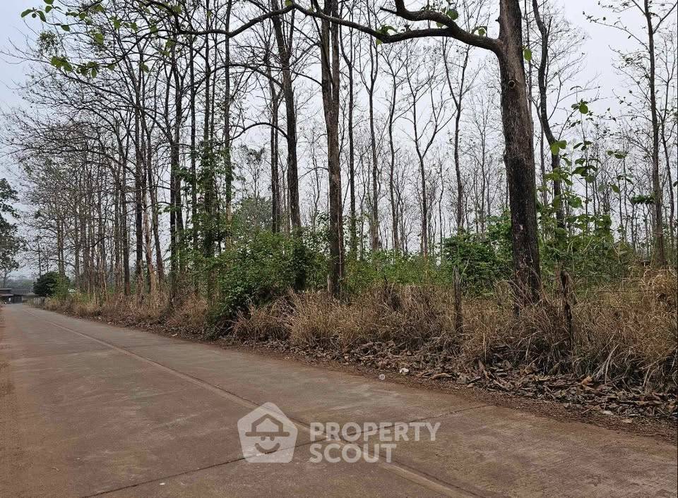 picture Land For Sale In Chiang Mai Old City, Si Phum (ID 3187778) - 2/3
