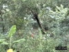 listing thumbnail image 44
