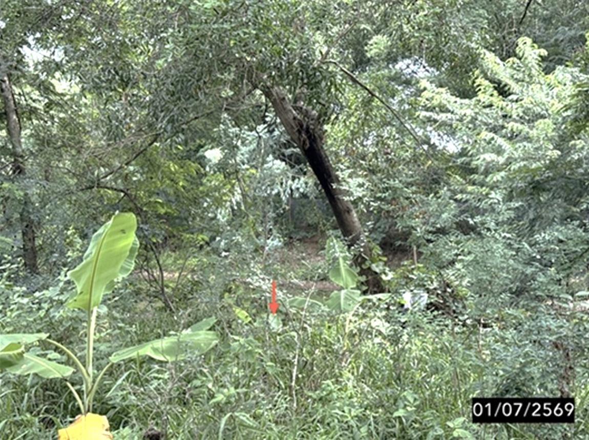รูป โกดัง 2403 ตร.วา ชุมแพ ขอนแก่น 18.5M - รูปที่ 45/49