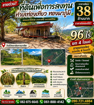 🌄 ที่ดินเพื่อการลงทุน ทำเลท่องเที่ยว ทองผาภูมิ