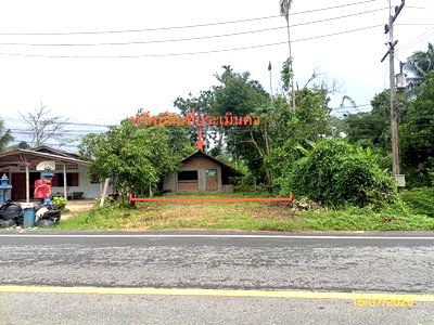 บ้านเดี่ยว นครศรีธรรมราช : บ้านเดี่ยว 77 ตร.วา พิปูน นครศรีธรรมราช 842,000