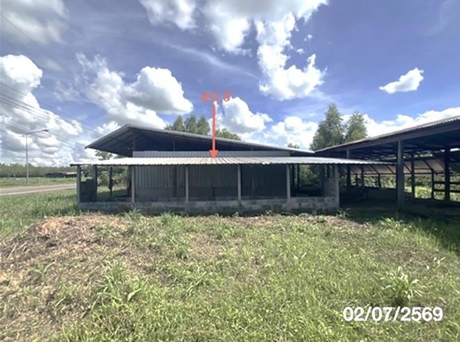 picture FACTORY 6641 Sq.w. Muang Amnat Charoen Amnat Charoen for 10.5M - 22/49