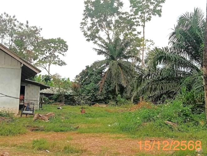 picture HOME 359.2 Sq.w. Nua Khlong Krabi for 1.8M - 5/17