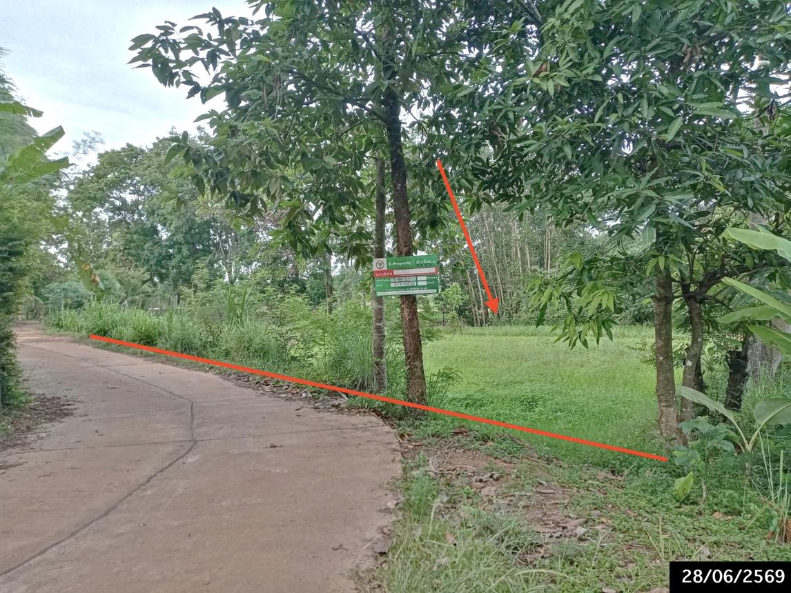 รูป ที่ดินว่างเปล่า 1358 ตร.วา พรรณานิคม สกลนคร 1.1M - รูปที่ 10/21