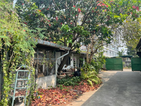 รูป ขายที่ดินสุขุมวิท 77 แปลงใหญ่ 191 ตร.ว อ่อนนุช 14 ใกล้ BTS อ่อนนุช ถนนหน้าที่กว้าง สภาพแวดล้อมดี เงียบสงบ ปากซอยมีแม็คโคร ปรีดี พัฒนาการ 0879074045 - รูปที่ 3/3