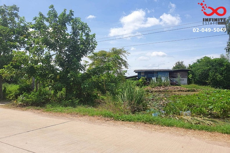 รูป ขายที่ดิน 2 ไร่ 115 ตร.ว.ใกล้ อบต.ท่าข้าม พนัสนิคม ชลบุรี พร้อมบ้าน 1 หลัง - รูปที่ 3/13