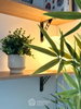 listing thumbnail image 18