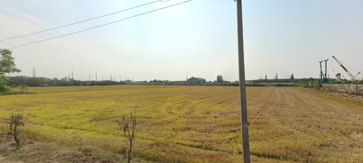 รูป ขายที่ดินสีม่วง เนื้อที่ 37 ไร่ ทำเลเด่นติดถนนหมายเลข 346 ปทุมธานี–ลาดหลุมแก้ว ต.คูขวาง อ.ลาดหลุมแก้ว จ.ปทุมธานี - รูปที่ 5/5