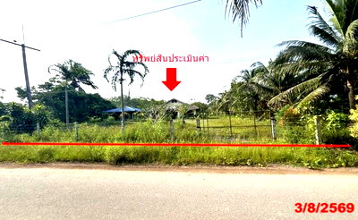 บ้านเดี่ยว นครศรีธรรมราช : บ้านเดี่ยว 653.1 ตร.วา ทุ่งสง นครศรีธรรมราช 2.8M