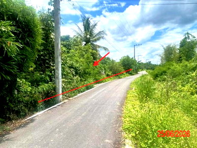 ที่ดิน บ้านโฮ่ง ลำพูน : ที่ดินว่างเปล่า 1248 ตร.วา เวียงหนองล่อง ลำพูน 712,000
