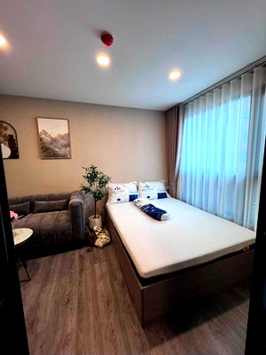 Condos for rent : 🍀 For Rent Brixton Pet & Play Phahol 50 Station 🍀 Add Line ID: @zcondo (with@) 🔥 C6116