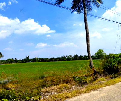 ที่ดิน สามพราน นครปฐม : ที่ดินเปล่า 17-3-27 ไร่ ใกล้เซ็นทรัล ศาลายา เพียง 4.5 กม.ติดถนนคอนกรีต  เข้าจาก ถ.บรมราชชนนี เพียง 1.4 กม. 