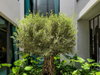listing thumbnail image 7
