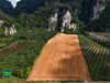 listing thumbnail image 20