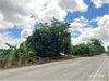 listing thumbnail image 34