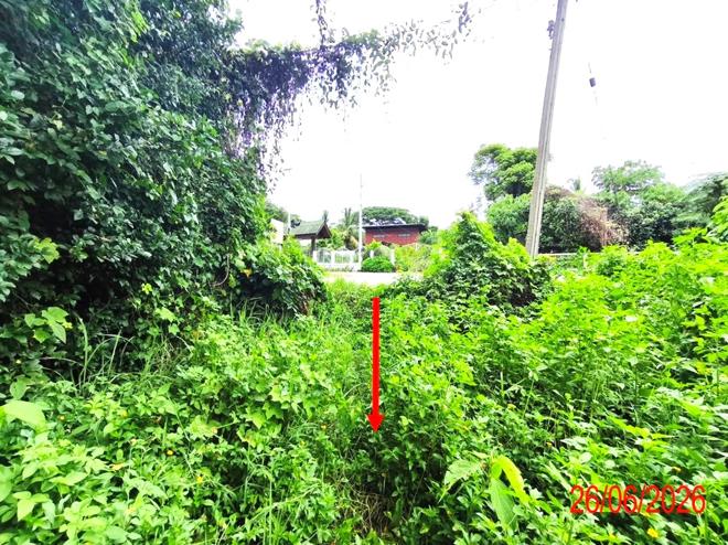 picture LAND 933 Sq.w. Hang Chat Lamphang for 2.1M - 6/21