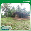 listing thumbnail image 26