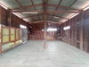 listing thumbnail image 22