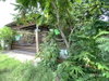 listing thumbnail image 19